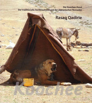 libro di Mr. Rasaq Quadririe