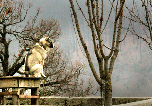 Ama fare la guardia dal punto più alto possibile! Ama fare la guardia dal punto più alto possibile!