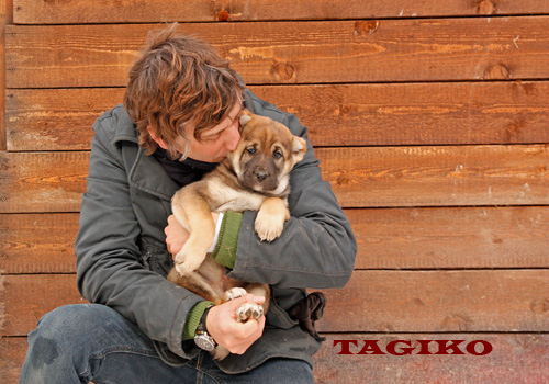 Taigan (età quasi 2 mesi) Taigan (età quasi 2 mesi)