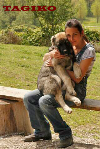 Orso Bubu e Sere Orso Bubu e Sere