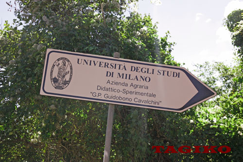 L'Allevamento dell'Università di Milano