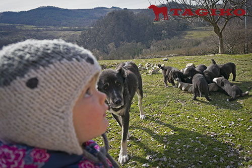 Vivina coi cuccioli